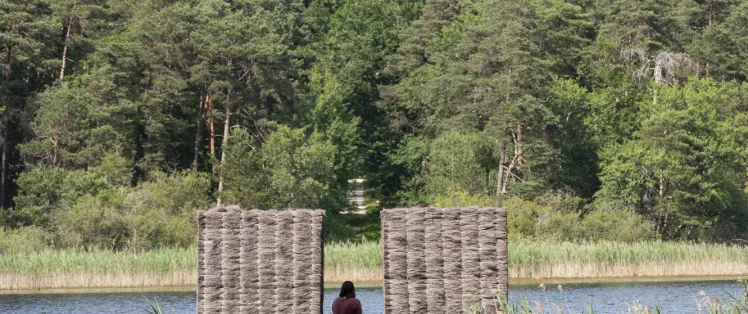 Etang de Montperché en Forêt Domaniale de Boulogne
