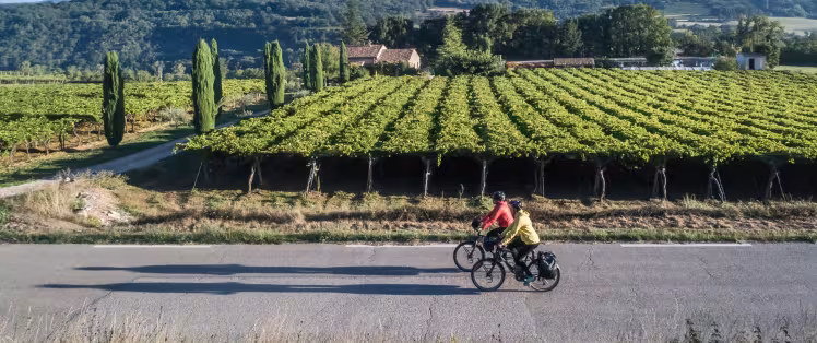 Le Luberon à vélo à Coustellet