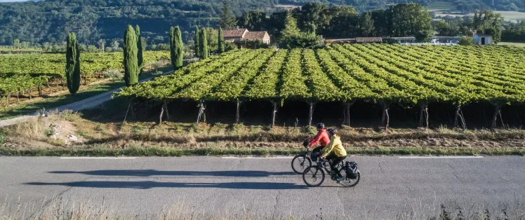 Le Luberon à vélo à Coustellet