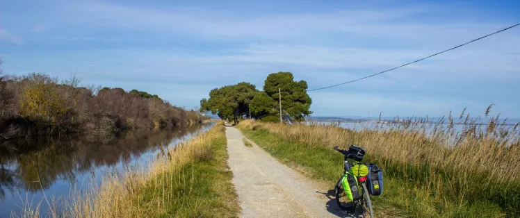 Petite route à vélo aux abords de Narbonne