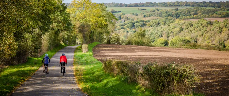 Petite route de campagne à vélo en Suisse Normande