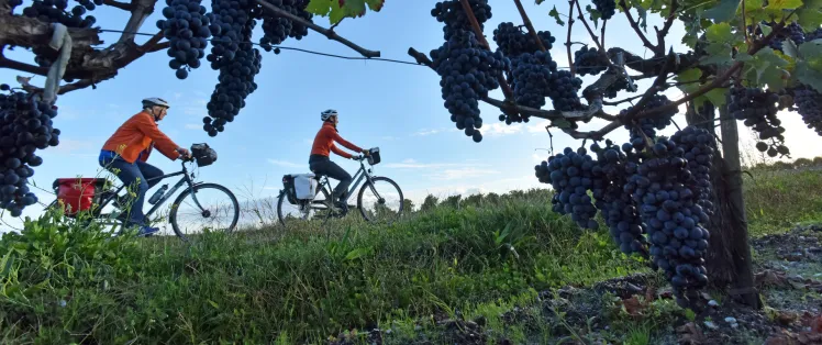 Randonnée à vélo dans le Médoc