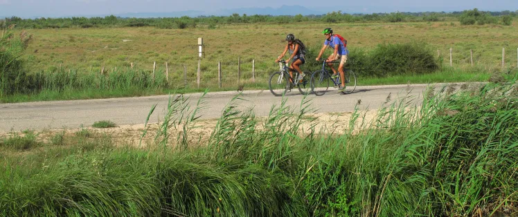 A travers les rizières à vélo