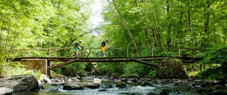 Grande Traversée du Morvan à VTT
