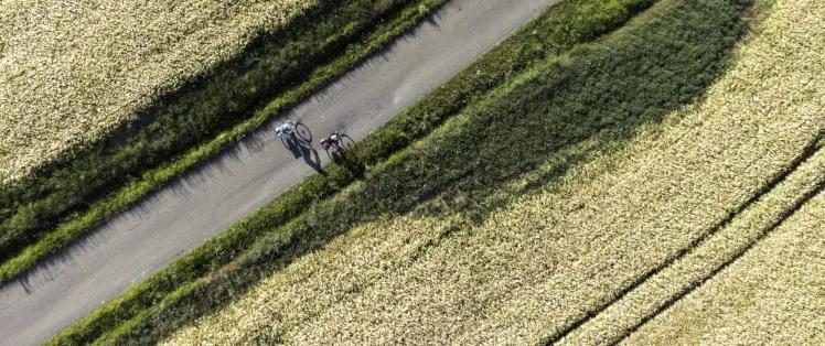 Petite route sur La Vélobuissonnière