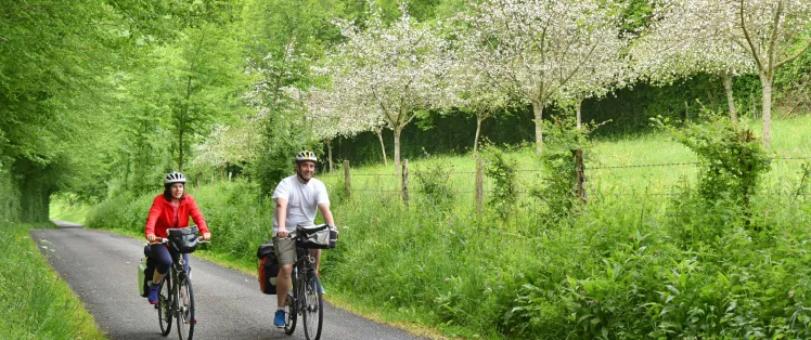 La Vélo Francette en Suisse Normande et ses pommiers en fleurs