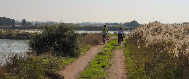 La Camargue avec Vélorizons