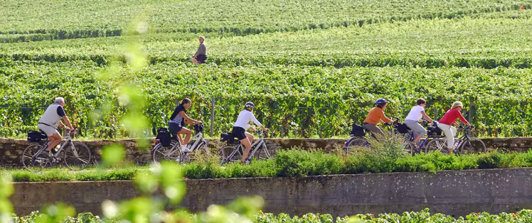 Voie des vignes à vélo en Bourgogne 