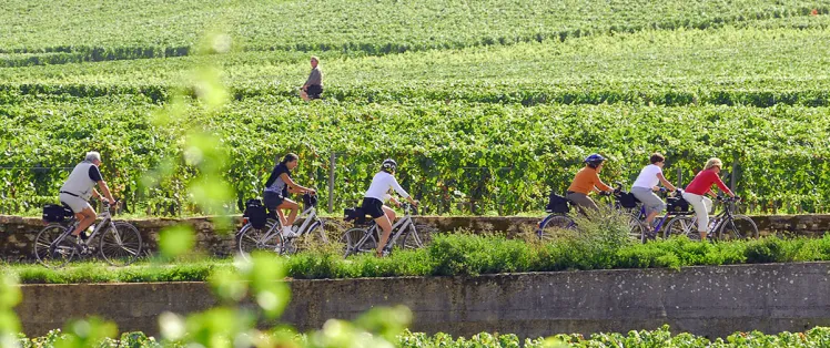 Voie des vignes à vélo en Bourgogne 