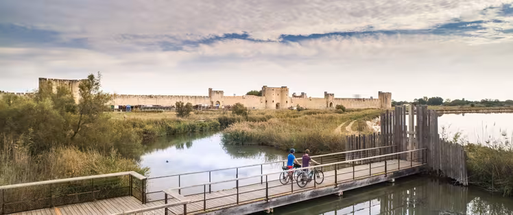 Du Rhône à la Camargue