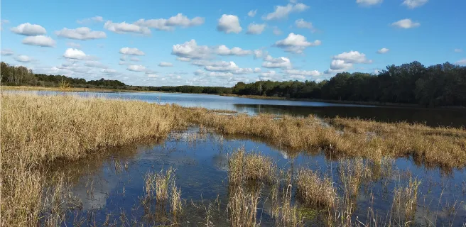 Terroir de Sologne - Boucle vélo n° 13