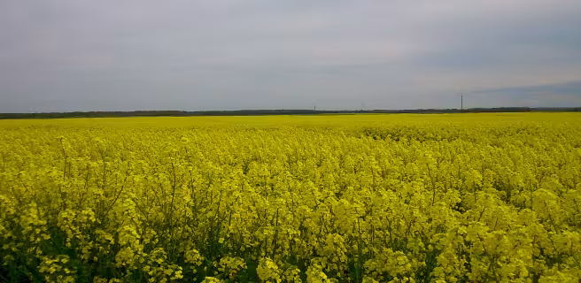 La petite Beauce - Boucle vélo n°28
