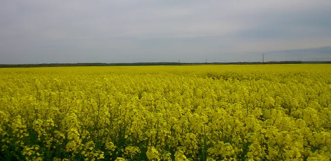 La petite Beauce - Boucle vélo n°28