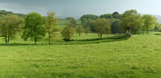 Royère-de-Vassivière / Aubusson