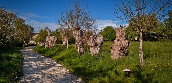 La boucle des trognes - Boucle vélo n°30