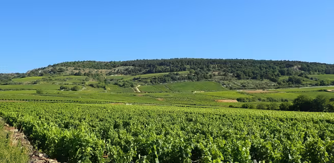 Santenay / Épinac