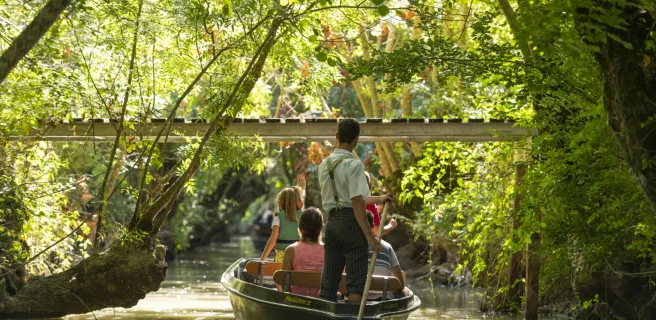 Maillezais / Fontenay-le-Comte