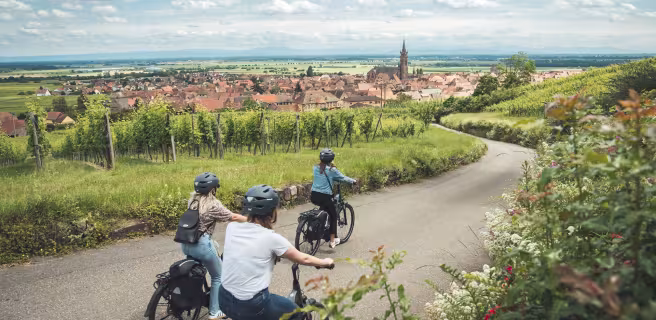 Balade à vélo à Dambach-la-ville