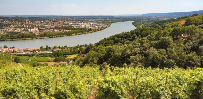 Croix Régis / Condrieu