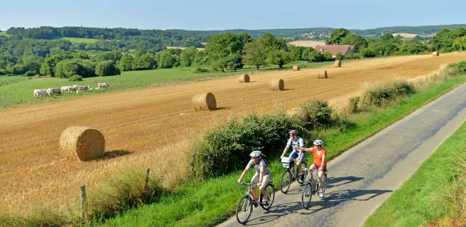 Manoirs entre Berthe et Ronne - Boucle vélo n°5