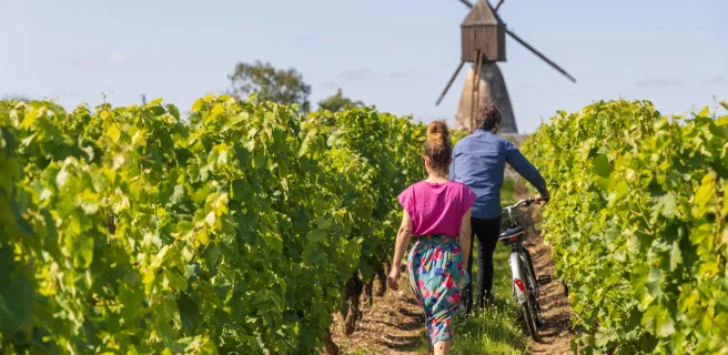 Boucle vignoble Loire, Layon, Aubance