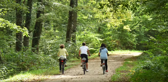Boucle en Forêt d’Orléans - Boucle vélo n°1