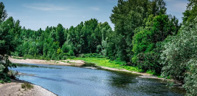 Puy-Guillaume / Pont-du-Château