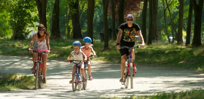 9: ViaRhôna de Jons à Lyon