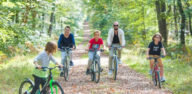 Au cœur de la forêt domaniale de Loches – Boucle vélo n°2