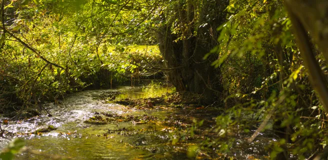 Autour de la vallée de la Dême – Boucle vélo n°32