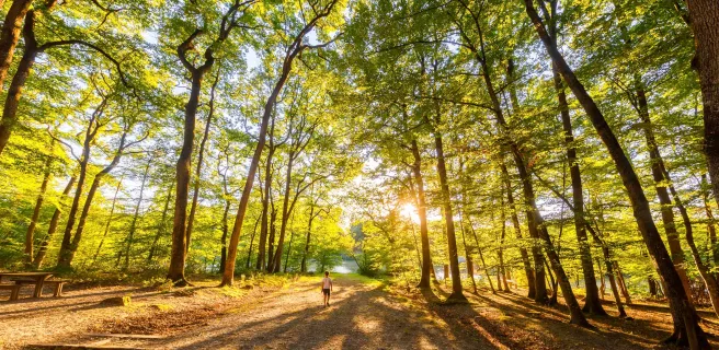 L’âne et le roi - Boucle vélo n°4