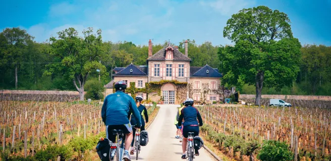 Châteaux et vignobles