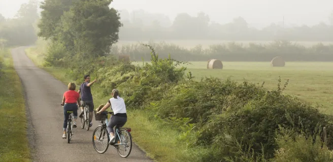 Balade champêtre en queue de Brenne - Boucle vélo n°12