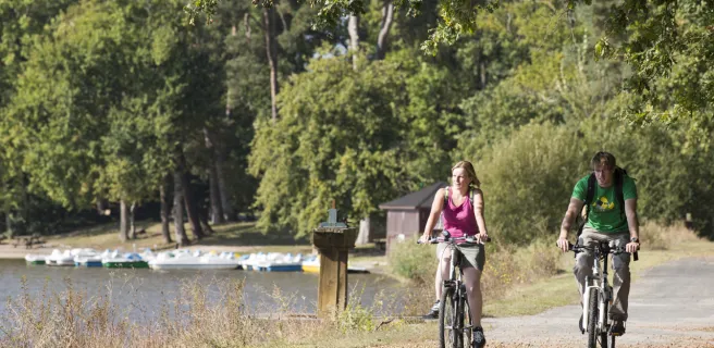 Boucle de l'Etang de Bellebouche - Boucle n°4