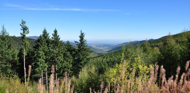 Saint-Félicien / Devesset (variante de départ)