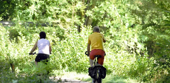 Migennes / Saint-Florentin