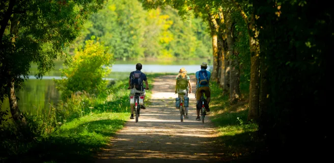 Voie verte au bord de l'eau - La Vélobuissonnière