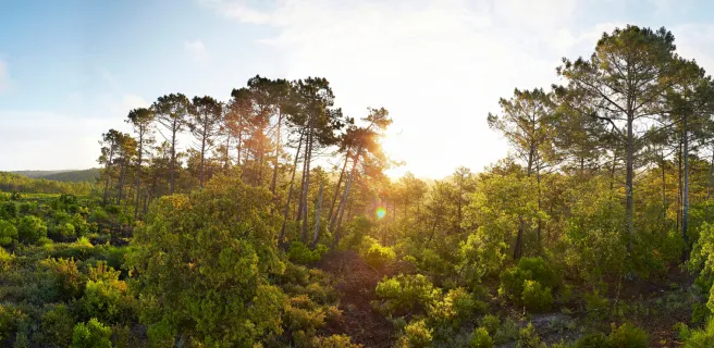 Hourtin-Plage / Lacanau-Océan