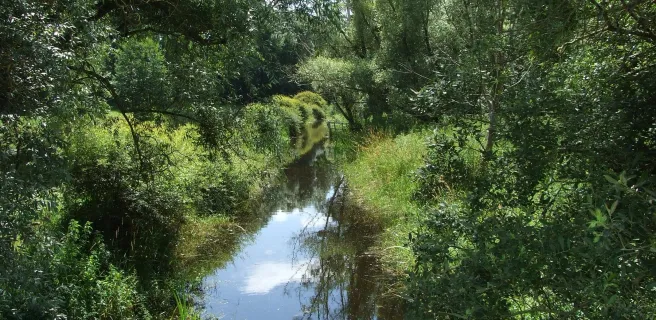 Le Val de Conie - Boucle vélo n°28