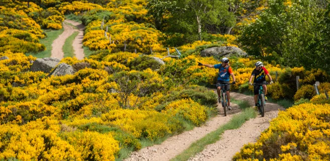 Montselgues / Les Vans