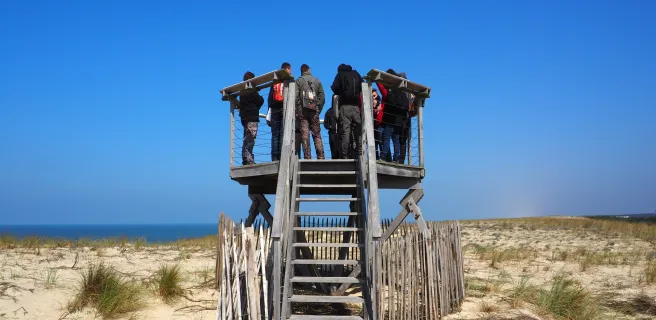 Mimizan-Plage / Léon