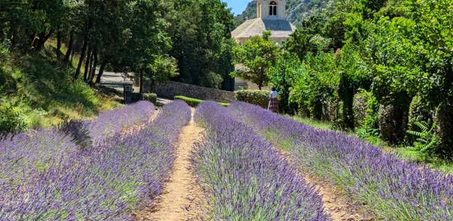Le Luberon