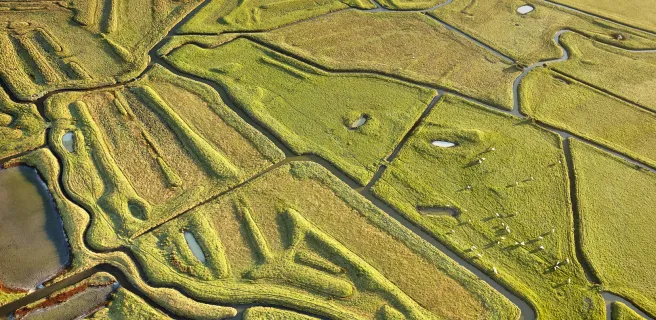 Le Marais breton vendéen