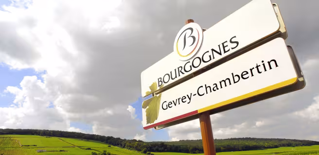 Dijon / Nuits-St-Georges
