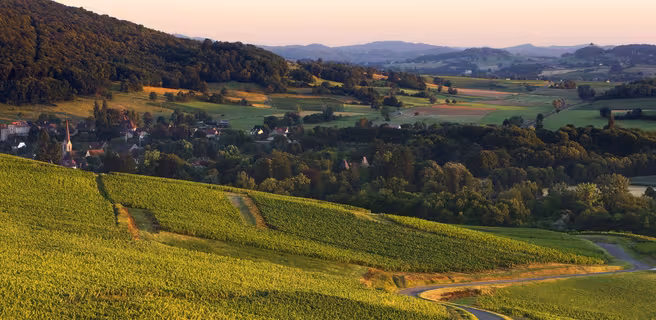 Paysage du Jura
