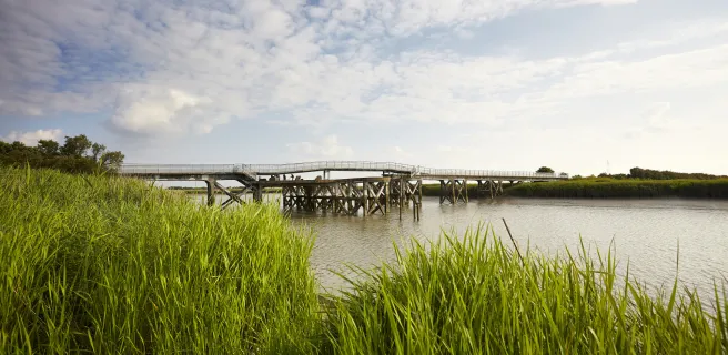 Pont en bois dans le Marais Poitevin à vélo