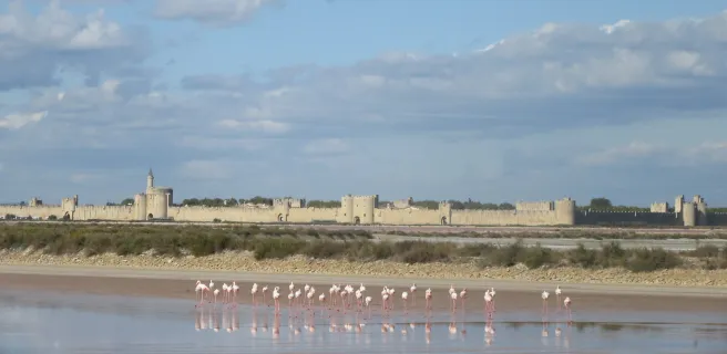 Salins d'Aigues-Mortes