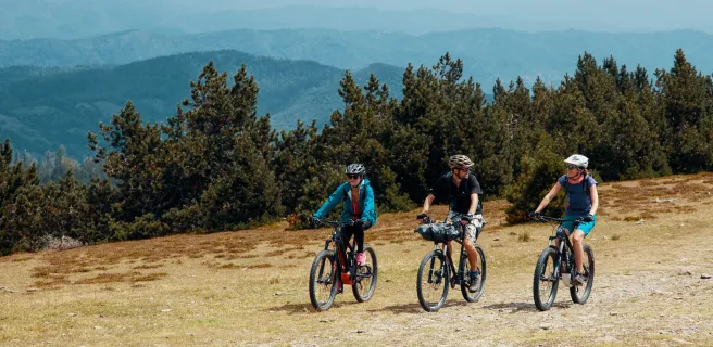 Fraissinet-de-Fourques / Dourbies