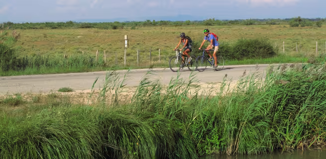 Le cheval camargue et le riz - Boucle vélo n°5