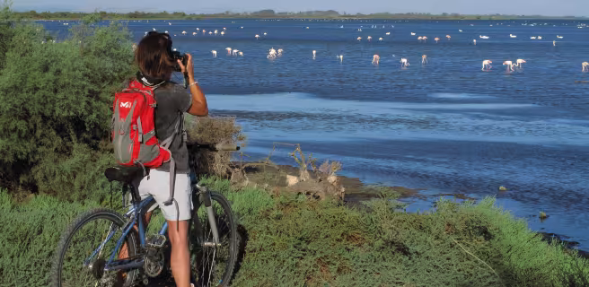 Découverte de l'Etang de Vaccarès - Boucle vélo n°4